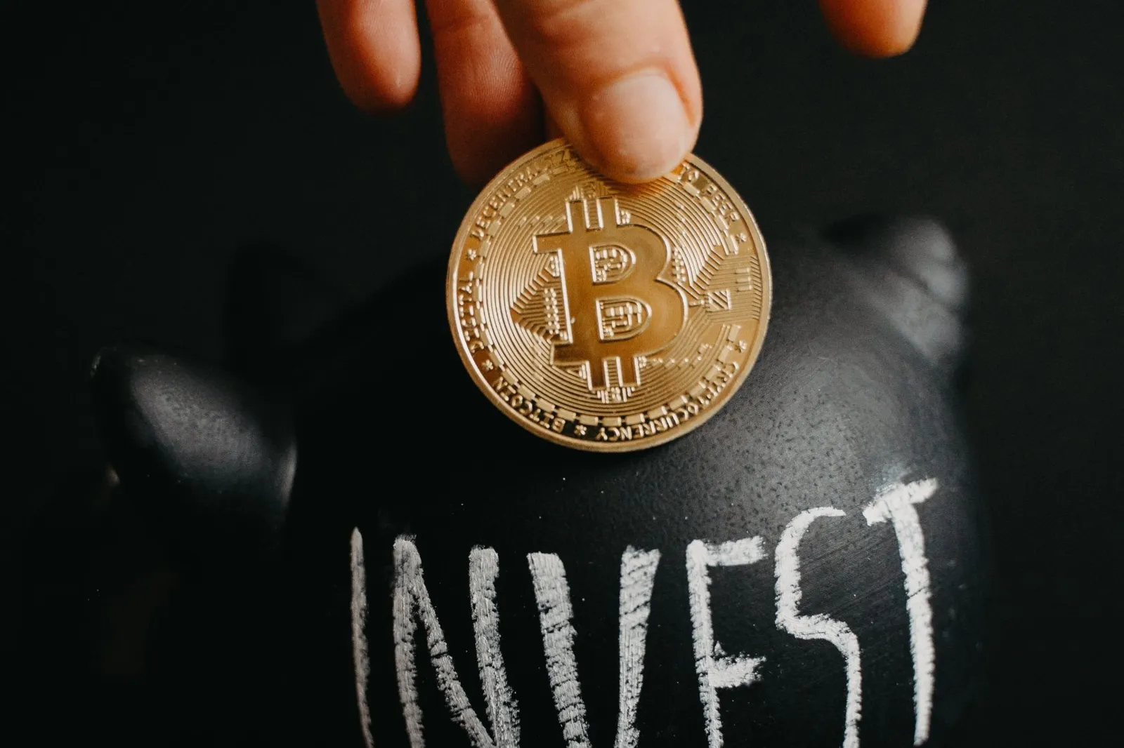 Market analysis on the Yielbo AI platform